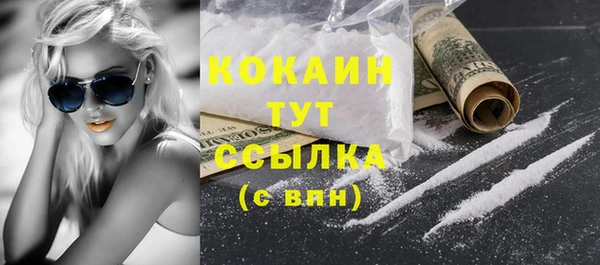 гидра Верея