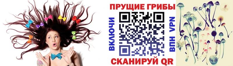 мега как войти  купить   Глазов  Псилоцибиновые грибы мицелий 